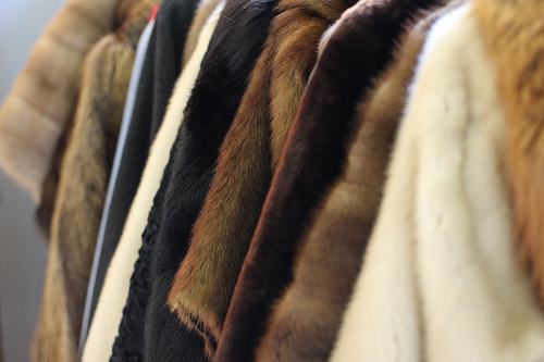 Manzari Luxury Furs