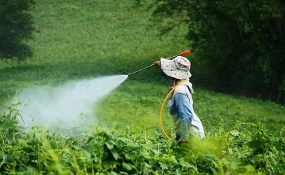 Для чего нужны пестициды