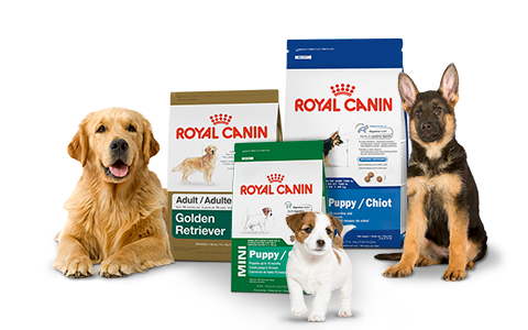 Royal Canin – сбалансированный корм для собак